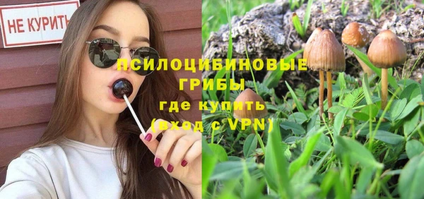 сатива Заволжье