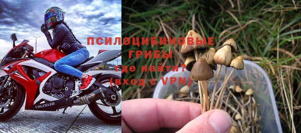 эйфоретик Заводоуковск