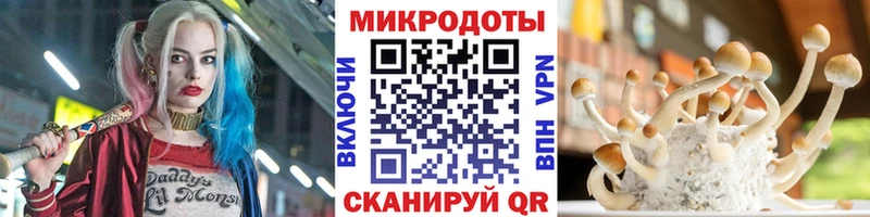 ОМГ ОМГ ONION  магазин продажи наркотиков  Новотитаровская  Псилоцибиновые грибы Psilocybe 